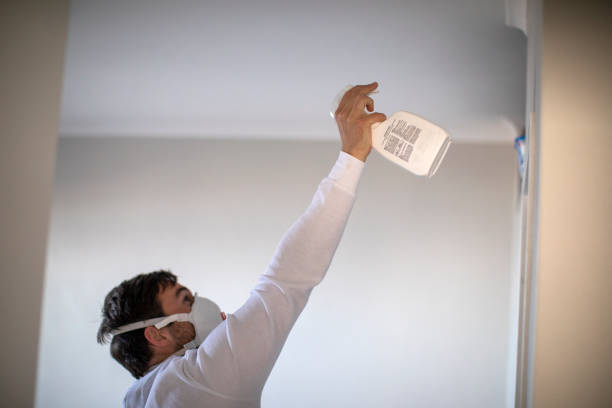 Best Attic Mold Remediation in Richland, MS
